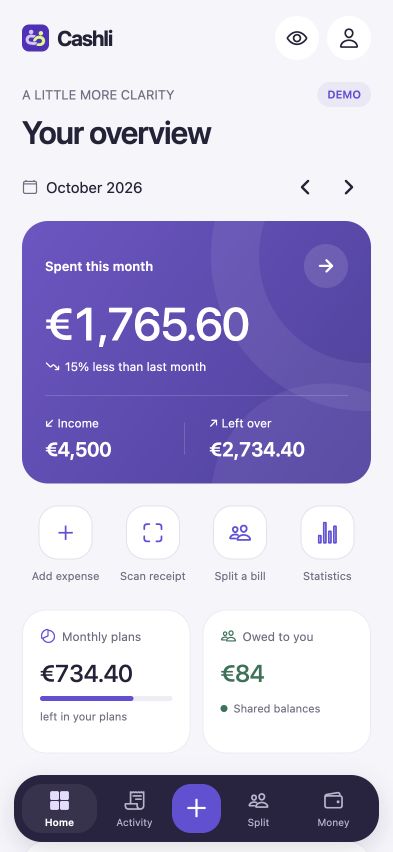 Real Cashli app overview with fictitious demonstration spending